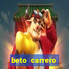 beto carrero cidades proximas